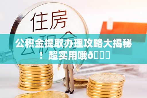 新邵公积金提取办理攻略大揭秘！超实用哦😉