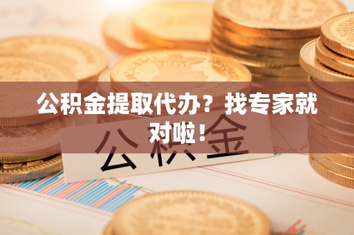 新邵公积金提取代办？找专家就对啦！